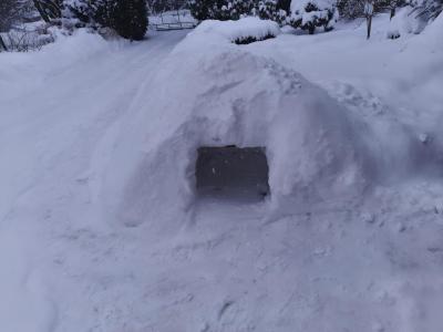 Igloo - Tomek kl.3.png