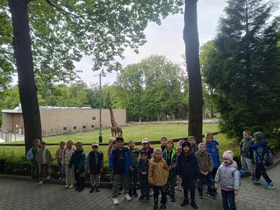 Zdjęcie WhatsApp 2025-05-14 o 19.54.10_dce13089.jpg