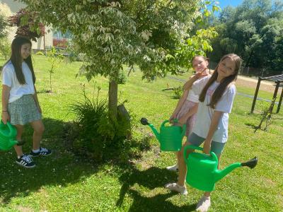 Zdjęcie WhatsApp 2025-07-04 o 14.04.12_9fac6a3f.jpg