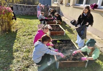 Tulipany Mocy i Pola Nadziei – małe cebulki, wielkie serca!