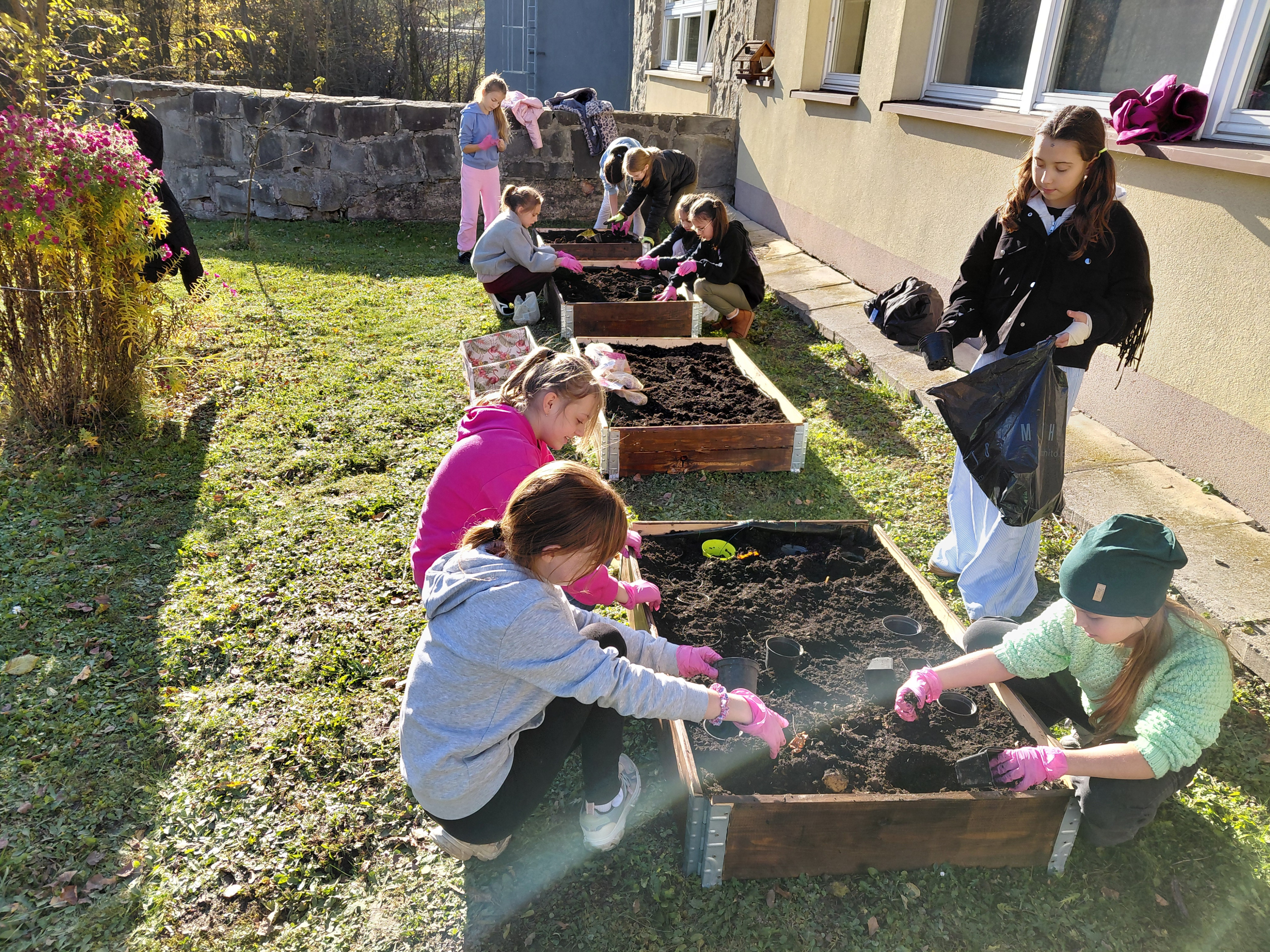 Tulipany Mocy i Pola Nadziei – małe cebulki, wielkie serca!